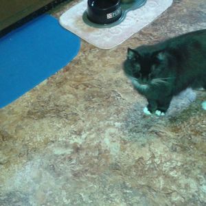 Meet your Posher, Jeannine